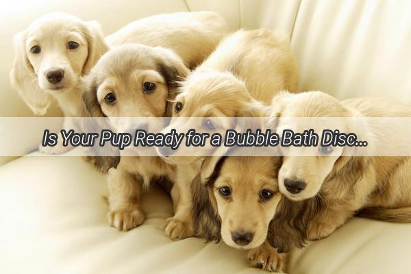 Is Your Pup Ready for a Bubble Bath Discover the Perfect Age to Wash Your Dog